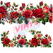 40 oz Tumbler Wrap - UVDTF Ink Transfers - Red Roses | UVDTF from The Glitter Guy
