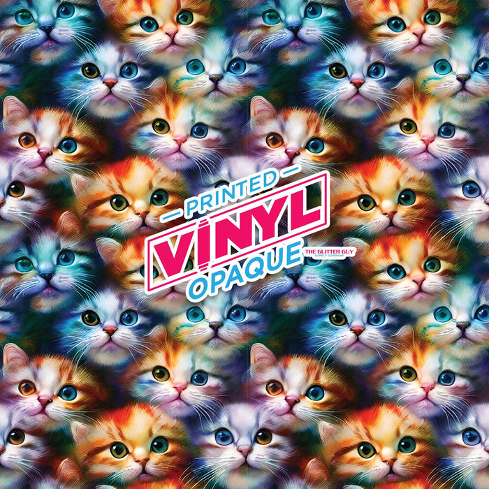Printed Vinyl - Are You Kitten Me