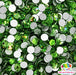 Peridot | Rhinestones from The Glitter Guy