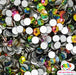 Rainbow | Rhinestones from The Glitter Guy
