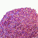 Ultraviolet | Fusion from The Glitter Guy