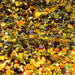 Autumn | Glitter from The Glitter Guy