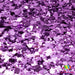 Eggplant | Glitter from The Glitter Guy