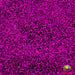Purple Passion | Glitter from The Glitter Guy