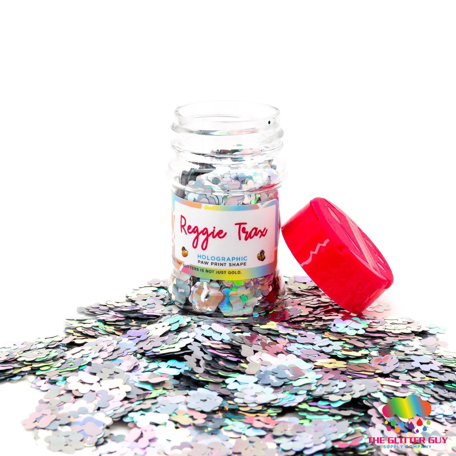 Silver Glitter | Silver Craft Glitters by The Glitter Guy