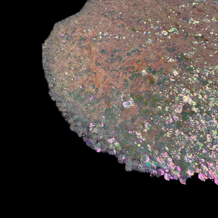 Vanellope | Glitter from The Glitter Guy