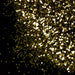 Wonder Glitter - Gold [AU] | Bio Glitter from The Glitter Guy